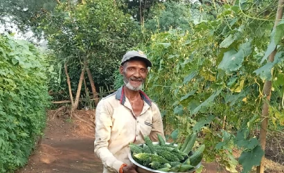 Homepage Kitchen Garden