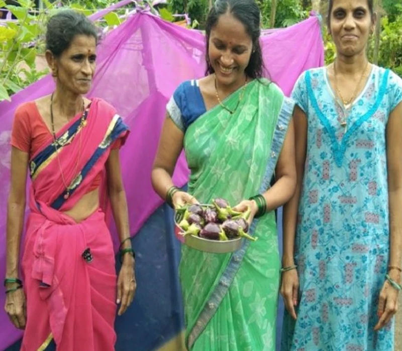 Our Program Kitchen Gardens